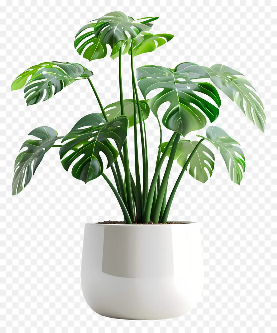 Planta Interna Tropical，Planta De Vaso PNG