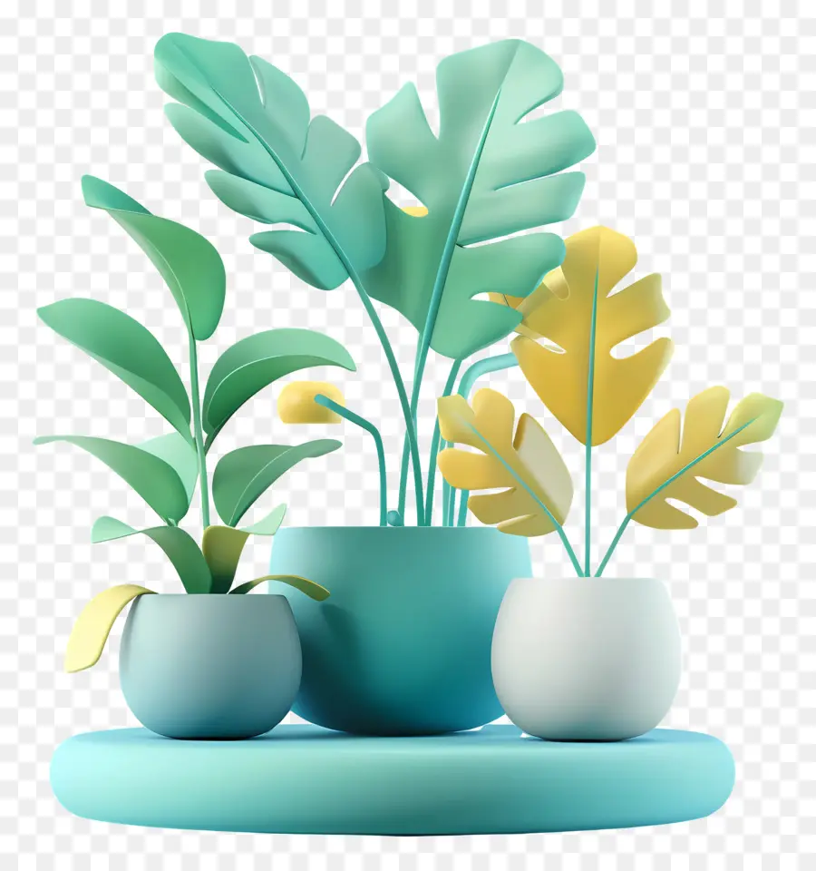 Plantas Estéticas，Vasos De Plantas PNG