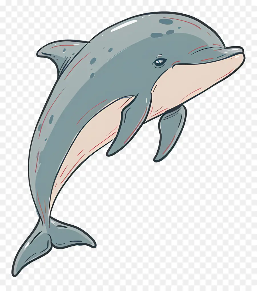 Dolphin，Animal Marinho PNG