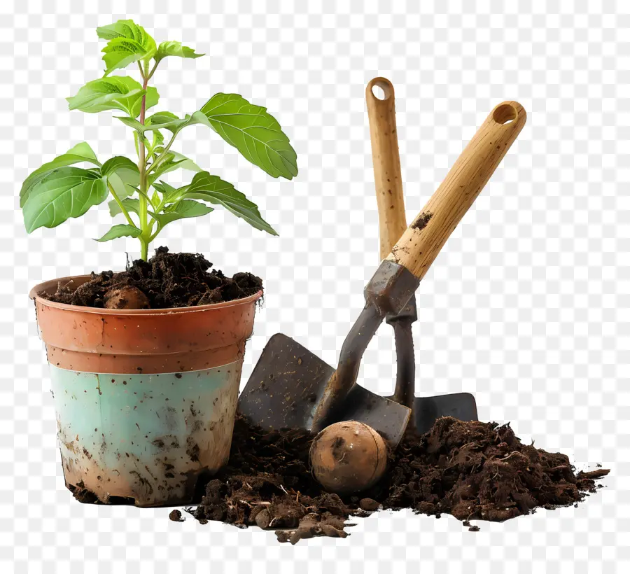 Dia Do Exercício De Jardinagem，O Plantio De PNG
