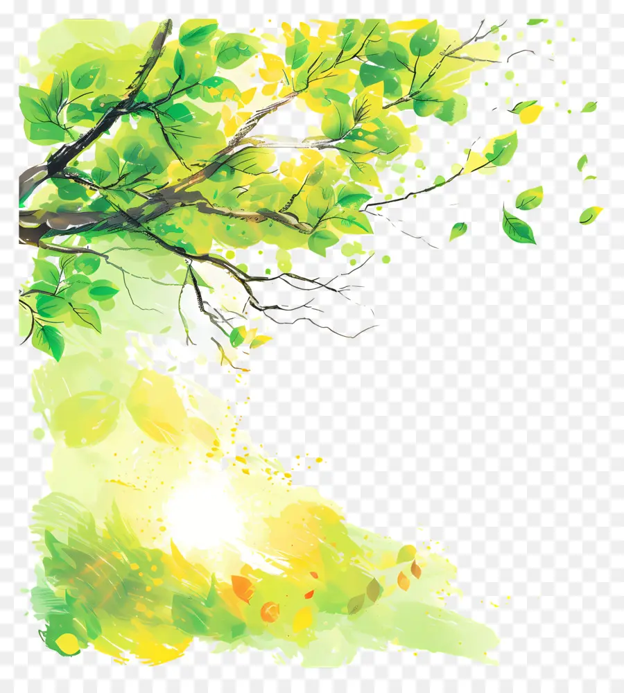 Fundo Da Luz Solar，árvore Verde PNG