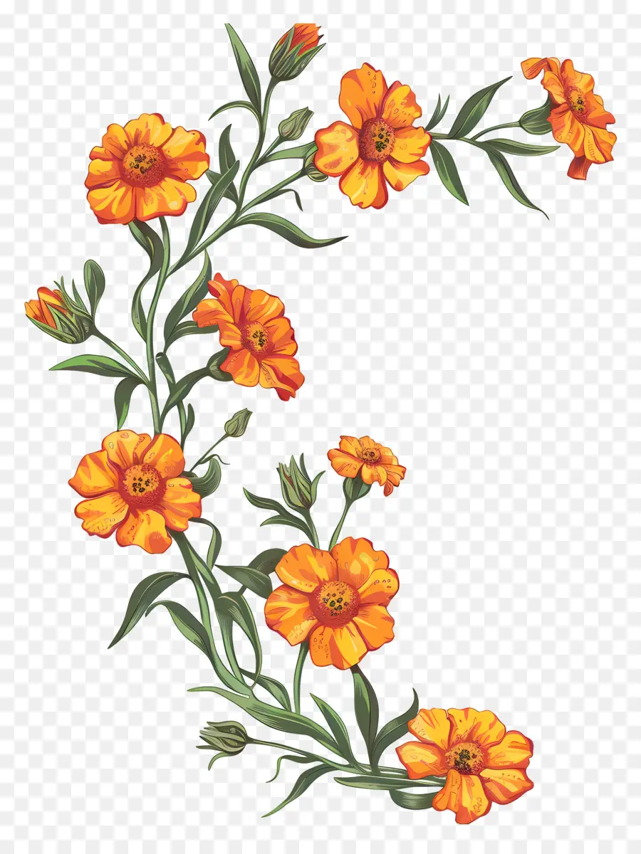 Flores，Flores De Laranja PNG