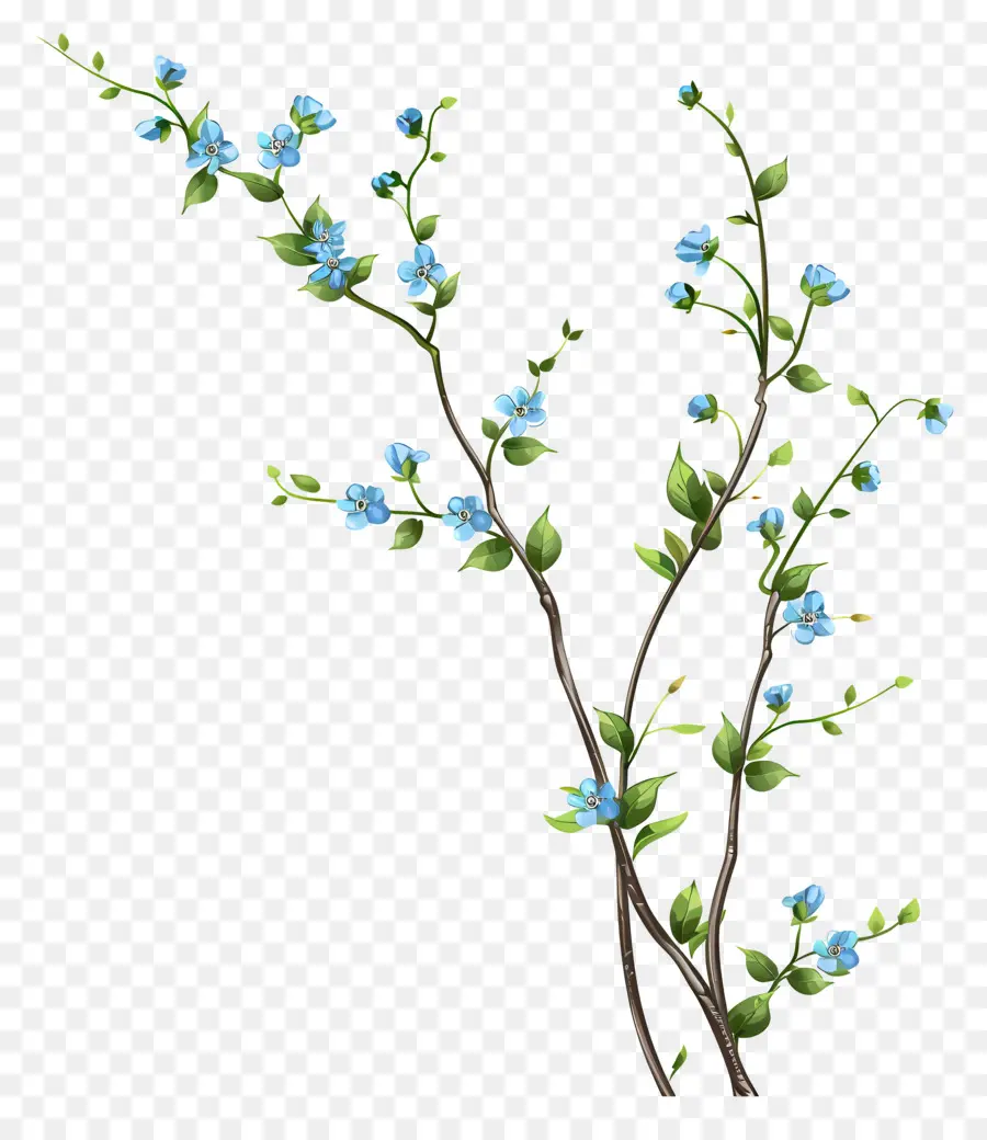 Pequenas Flores Azuis，árvore PNG