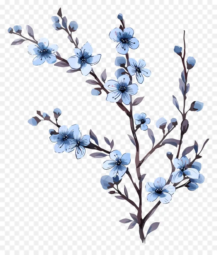 Pequenas Flores Azuis，Sakura PNG