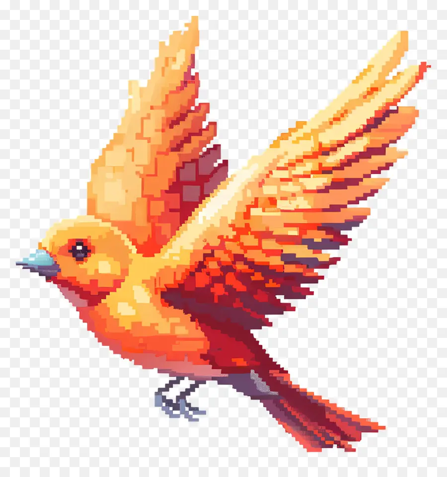 Pássaro Voando，Aves PNG