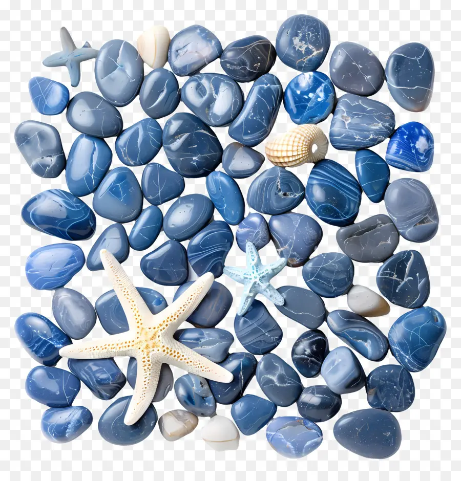 Pebbles De Contorno Azul，Estrela Do Mar PNG