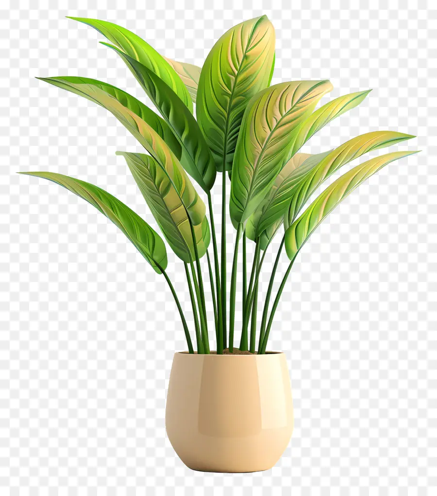 Formato Da Planta Interna，Planta De Vaso PNG