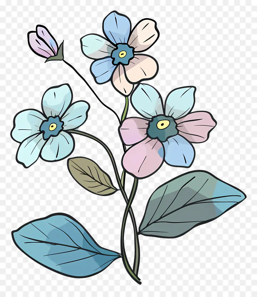 Não Te Esqueças De Mim，Flores Azuis PNG