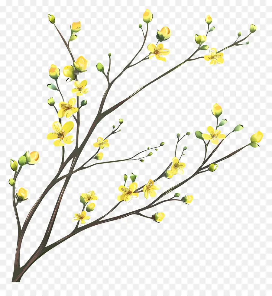 Pequenas Flores Amarelas，Galho De árvore Com Floração PNG