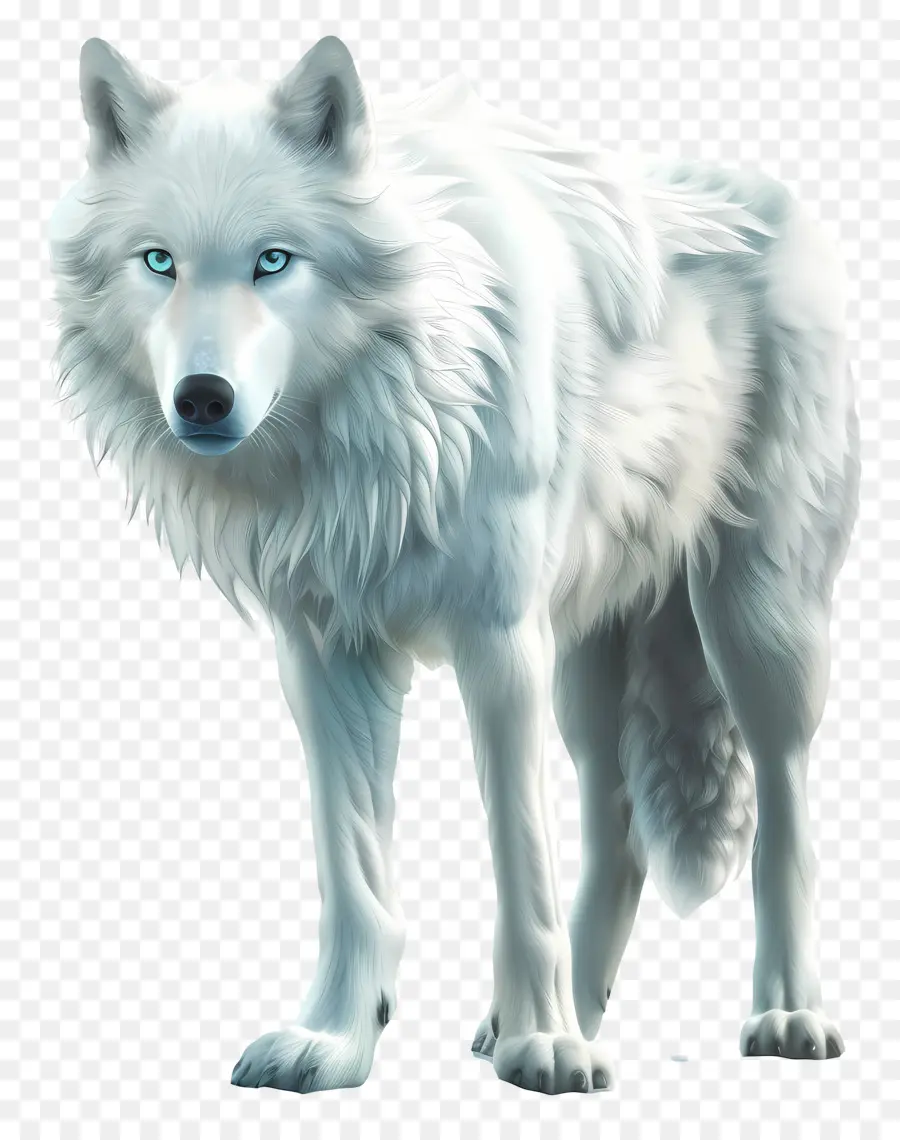 Lobo Branco，Cabelos Longos PNG