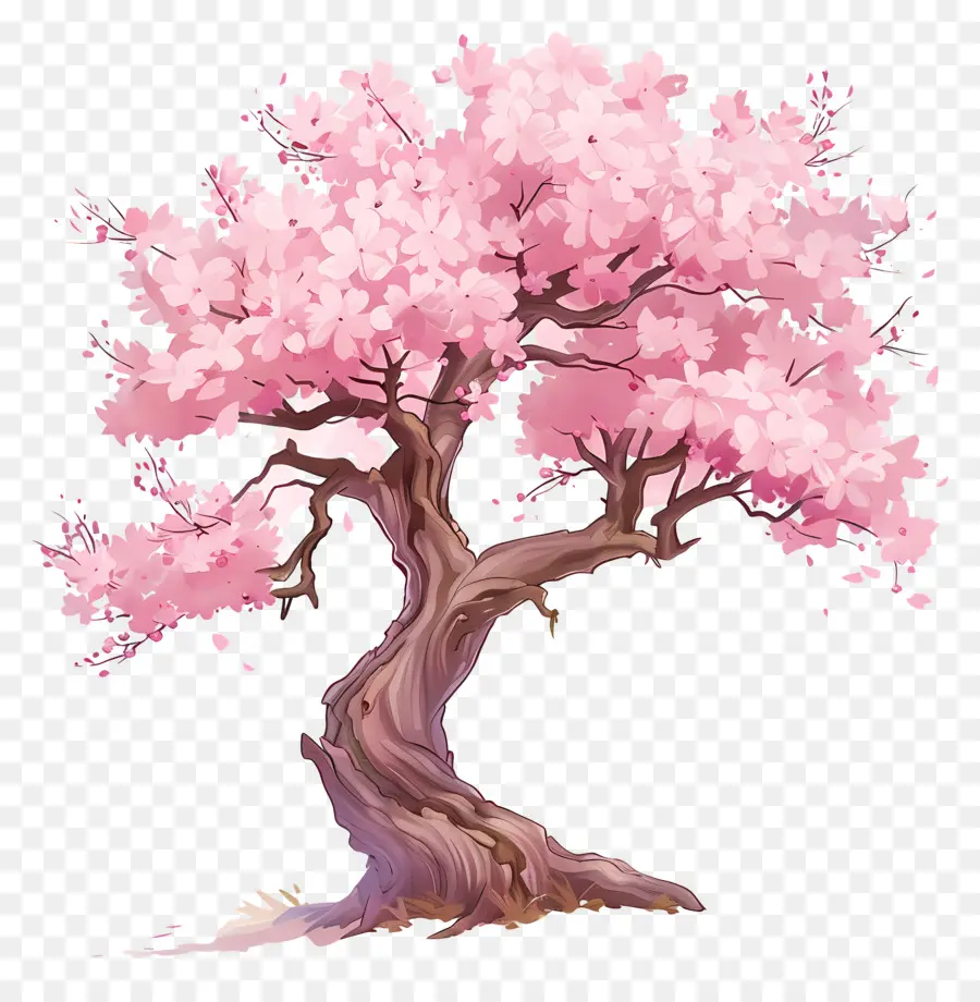 árvore De Sakura，Cor De Rosa Cereja árvore PNG