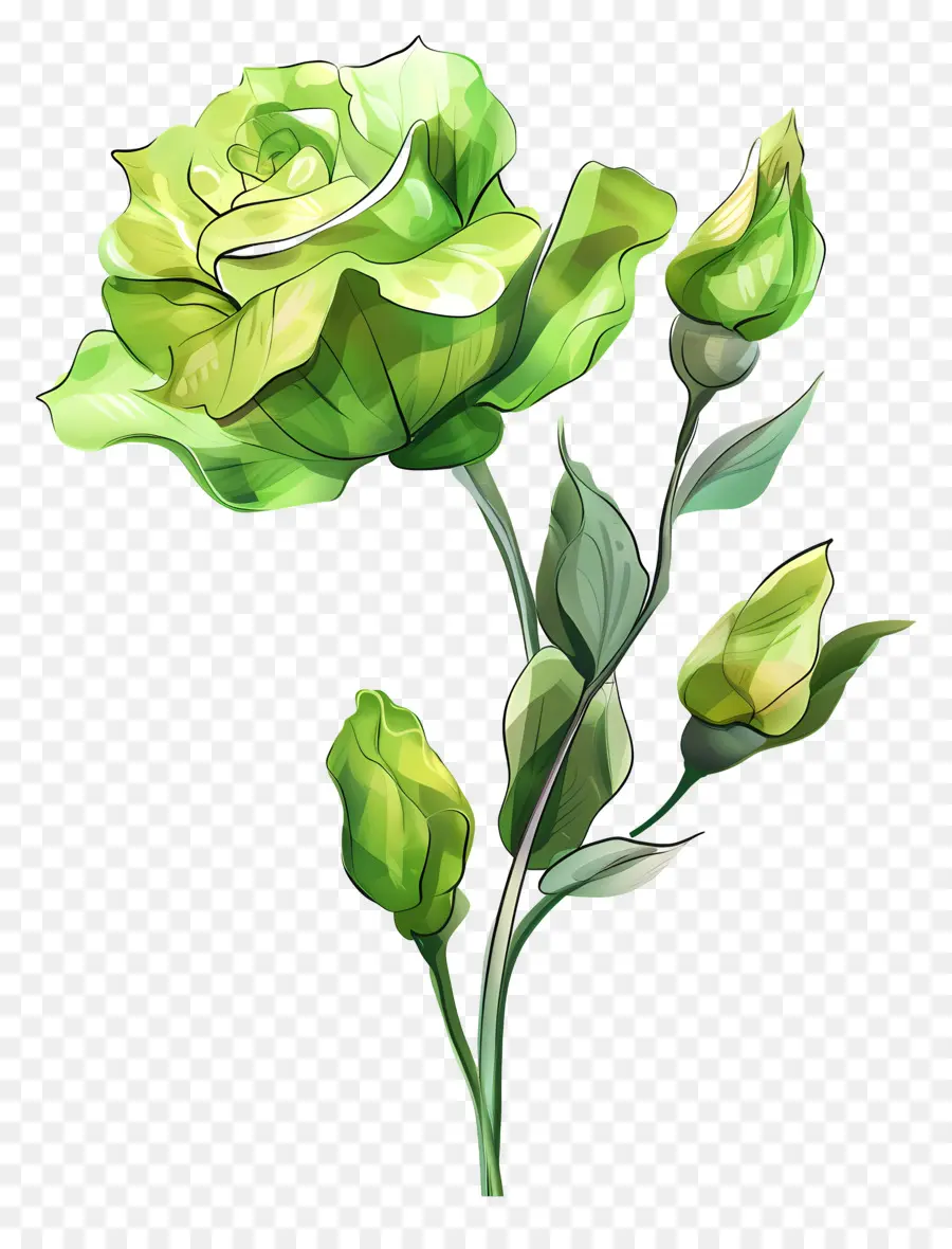 Flor Verde De Lisianthus，Rosa Verde PNG