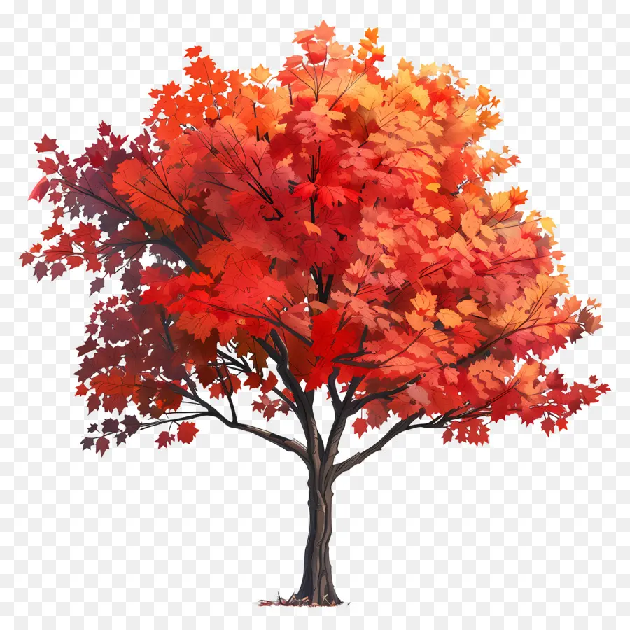 árvore De Bordo，Folhas Vermelhas PNG