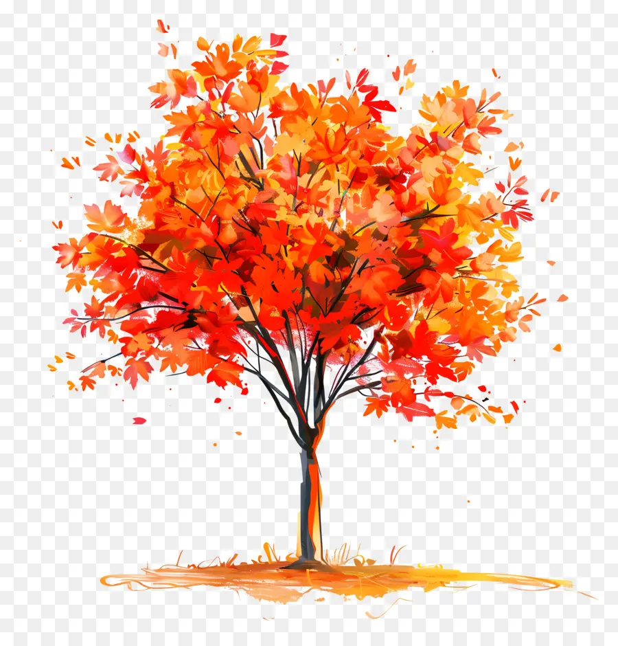 árvore De Bordo，Autumn Tree PNG
