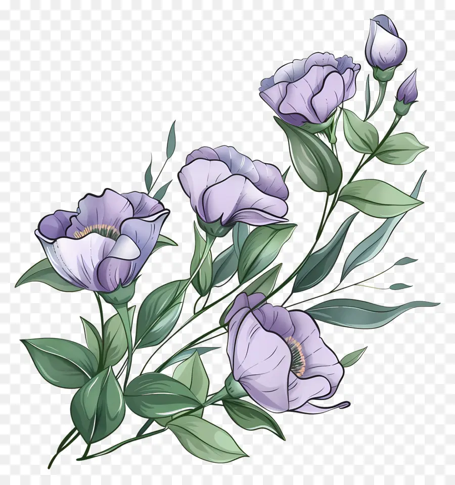 Flores De Eustoma，Flores Roxas PNG