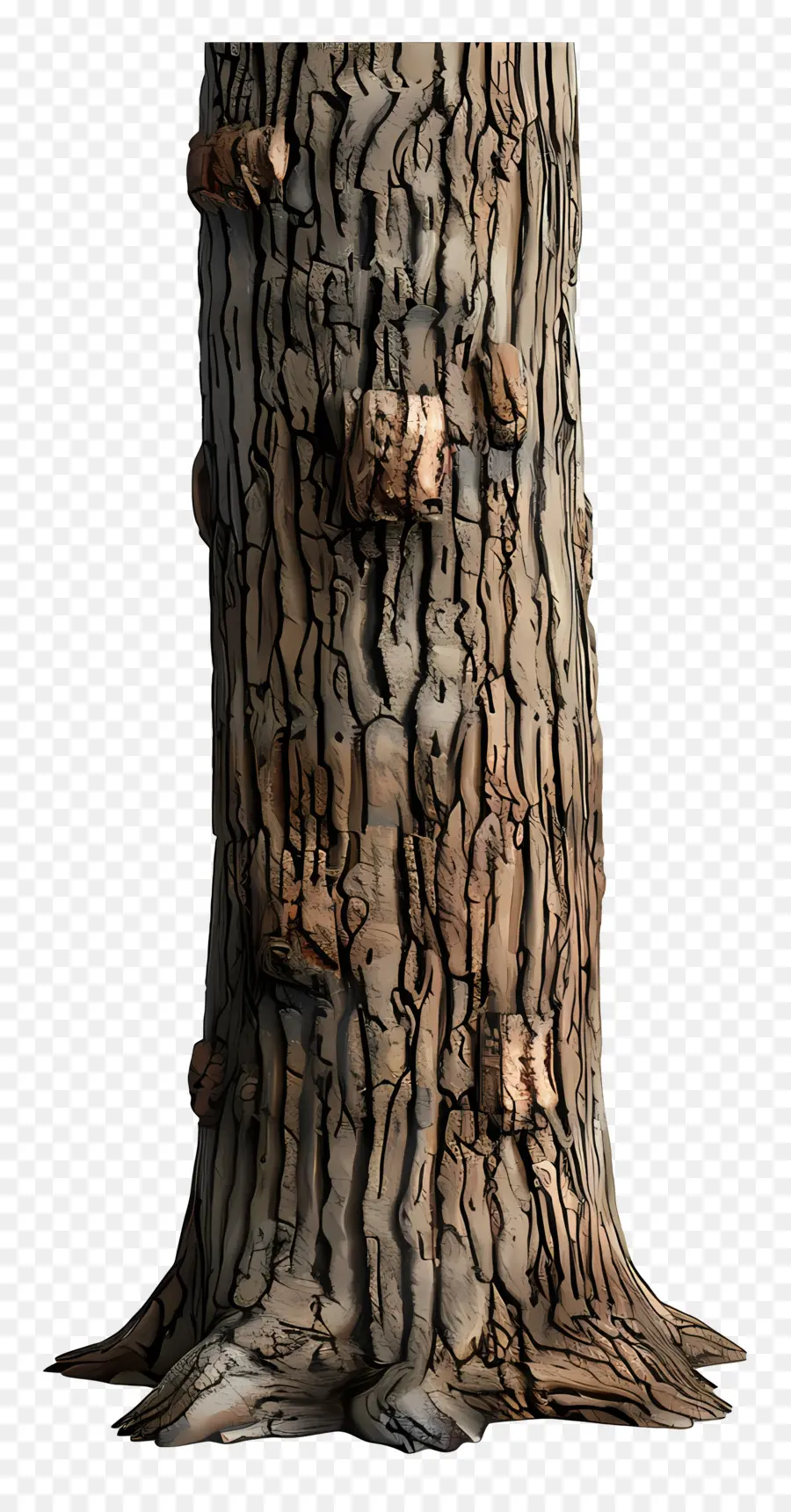 Tronco De árvore，Casca De árvore PNG