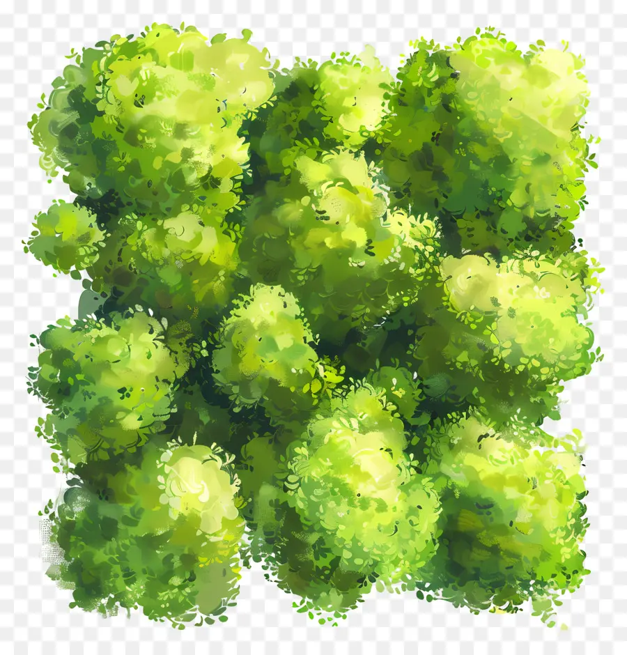 Verde Musgo，Arbustos Verdes PNG