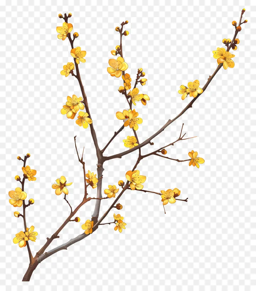 Pequenas Flores Amarelas，Flores Amarelas PNG