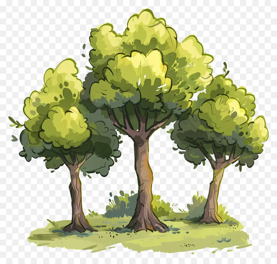 árvores Da Floresta，árvores PNG
