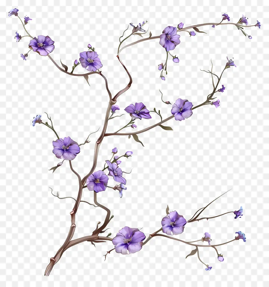Pequenas Flores Roxas，Ramo De árvore PNG