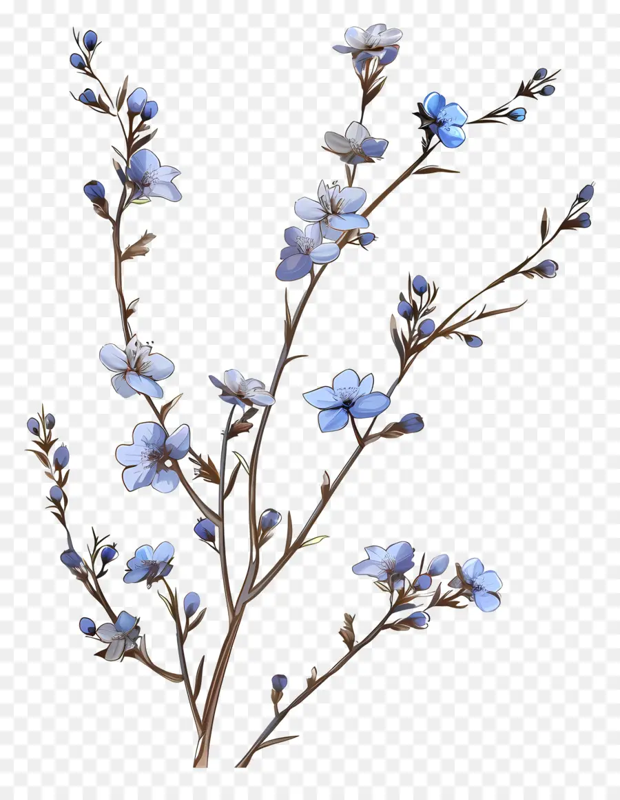 Pequenas Flores Azuis，Flores Azuis PNG