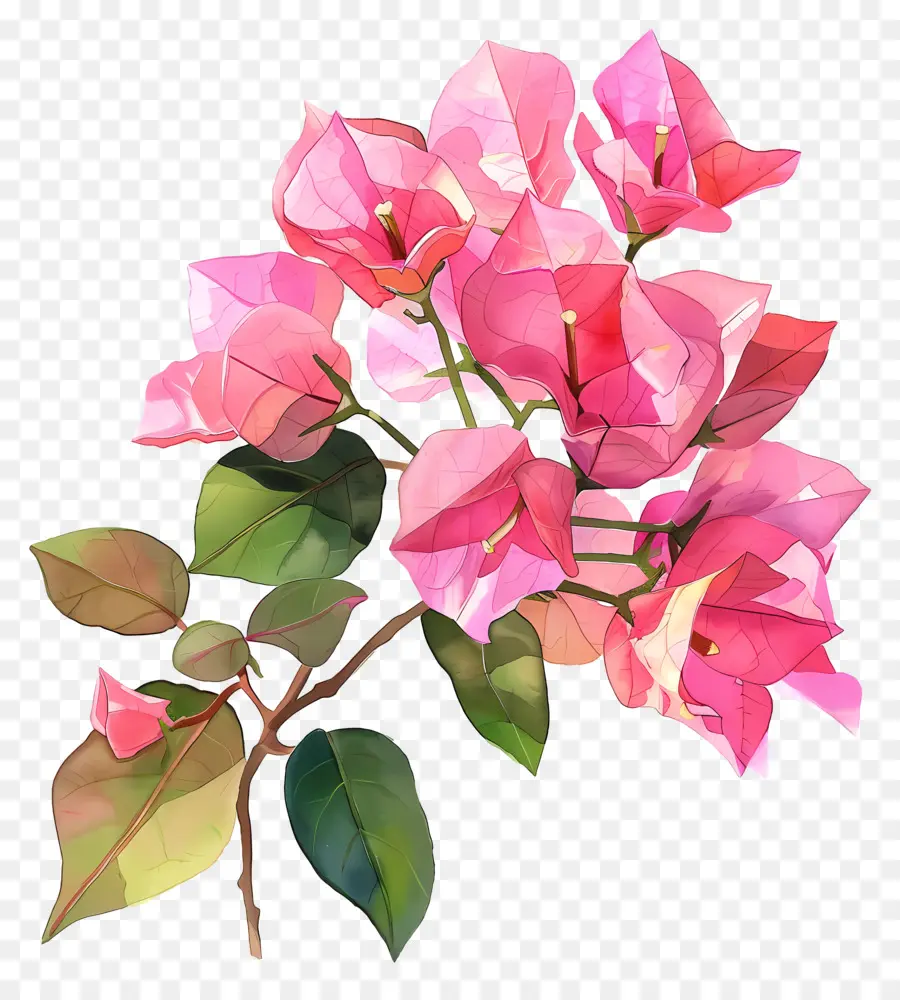Flor De Buganvílias，Flores De Papel PNG