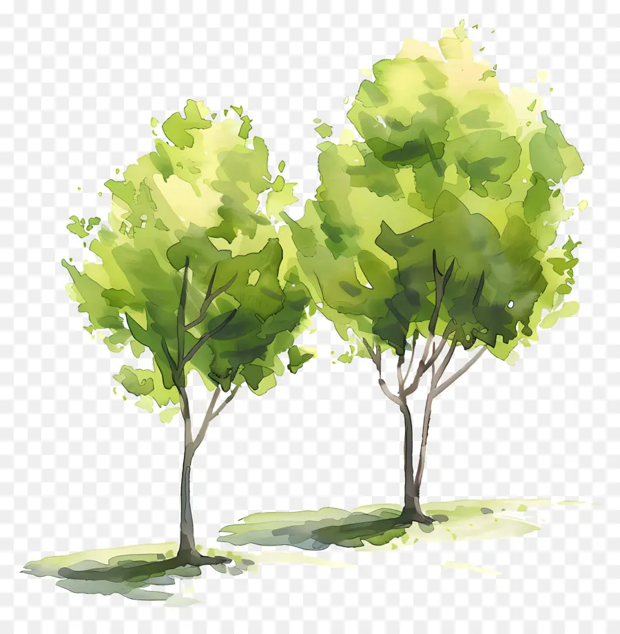 Aquarela árvores，árvores Verdes PNG