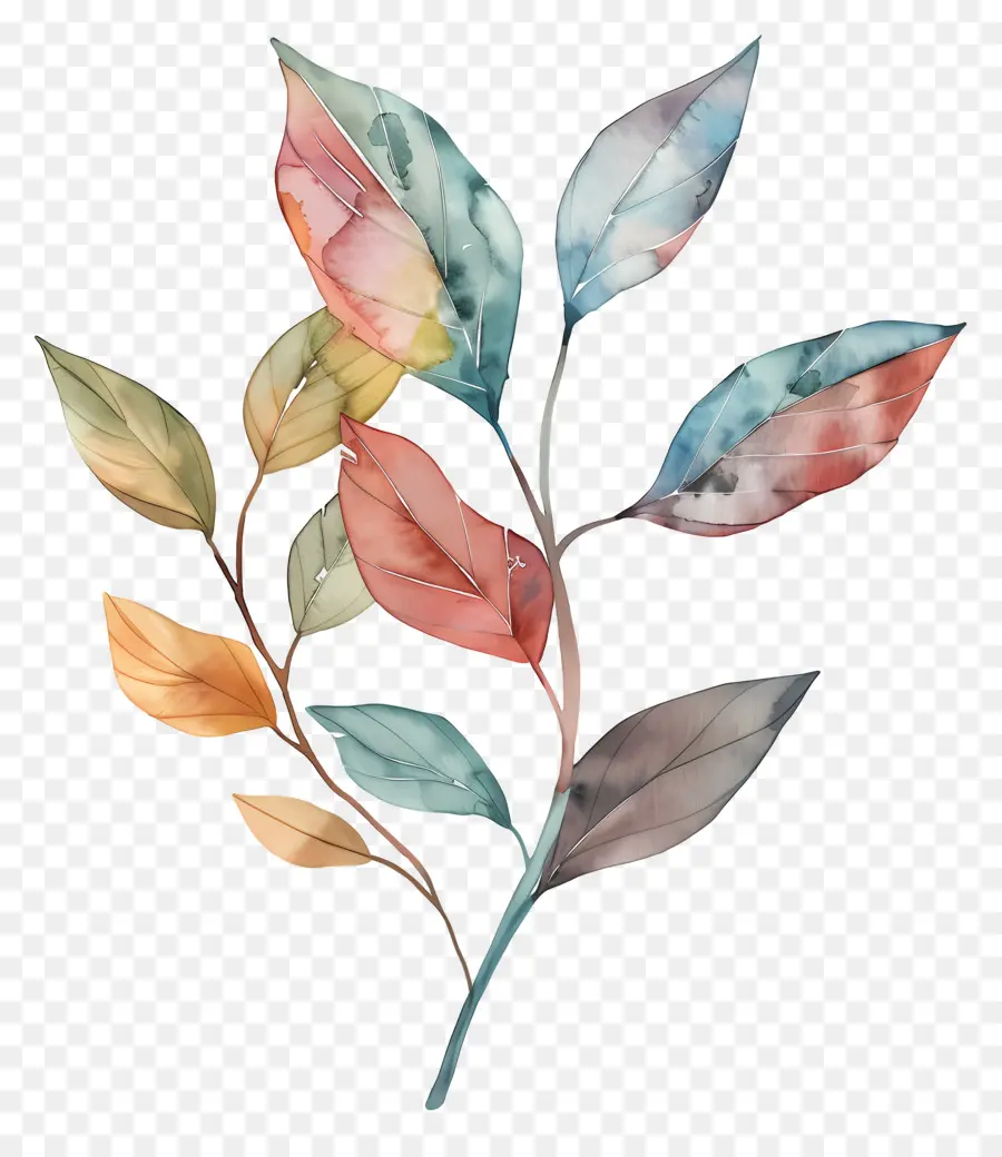 Folhas Aquarela，Natureza PNG