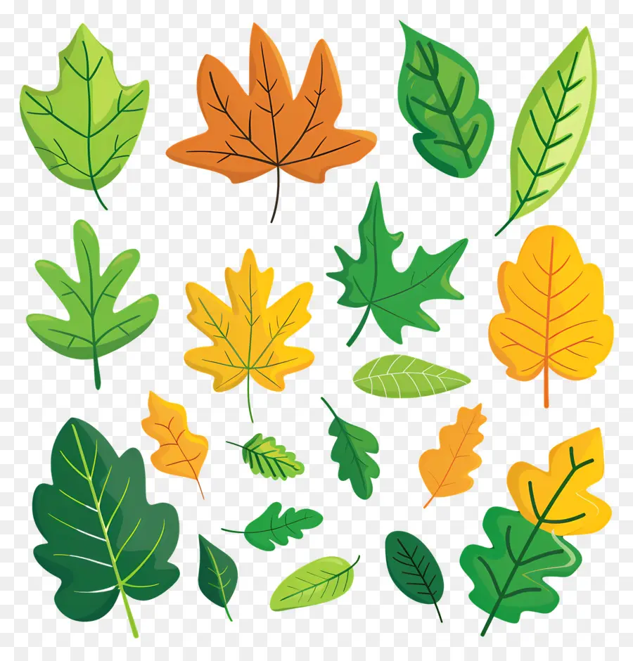 Clipart Simples De Folhas，Autumn Leaves PNG