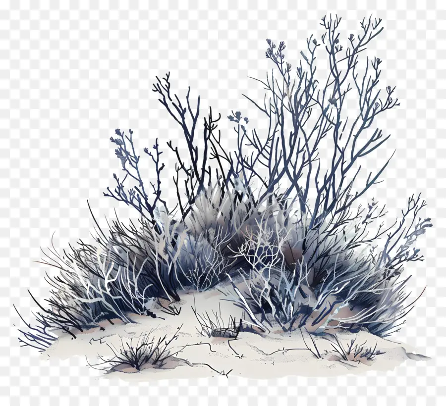 Vegetação Da Tundra，Paisagem Ilustração PNG