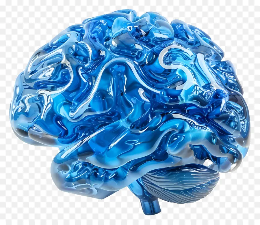 Azul Cérebro，Anatomia Do Cérebro PNG
