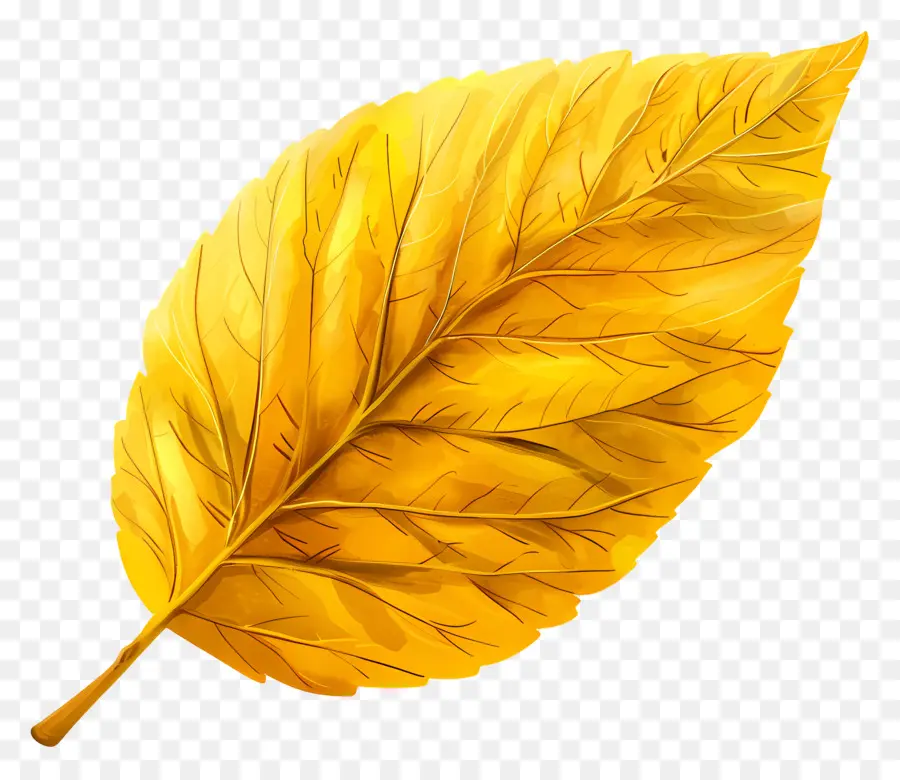 Clipart De Folha Amarela，Golden Leaf PNG