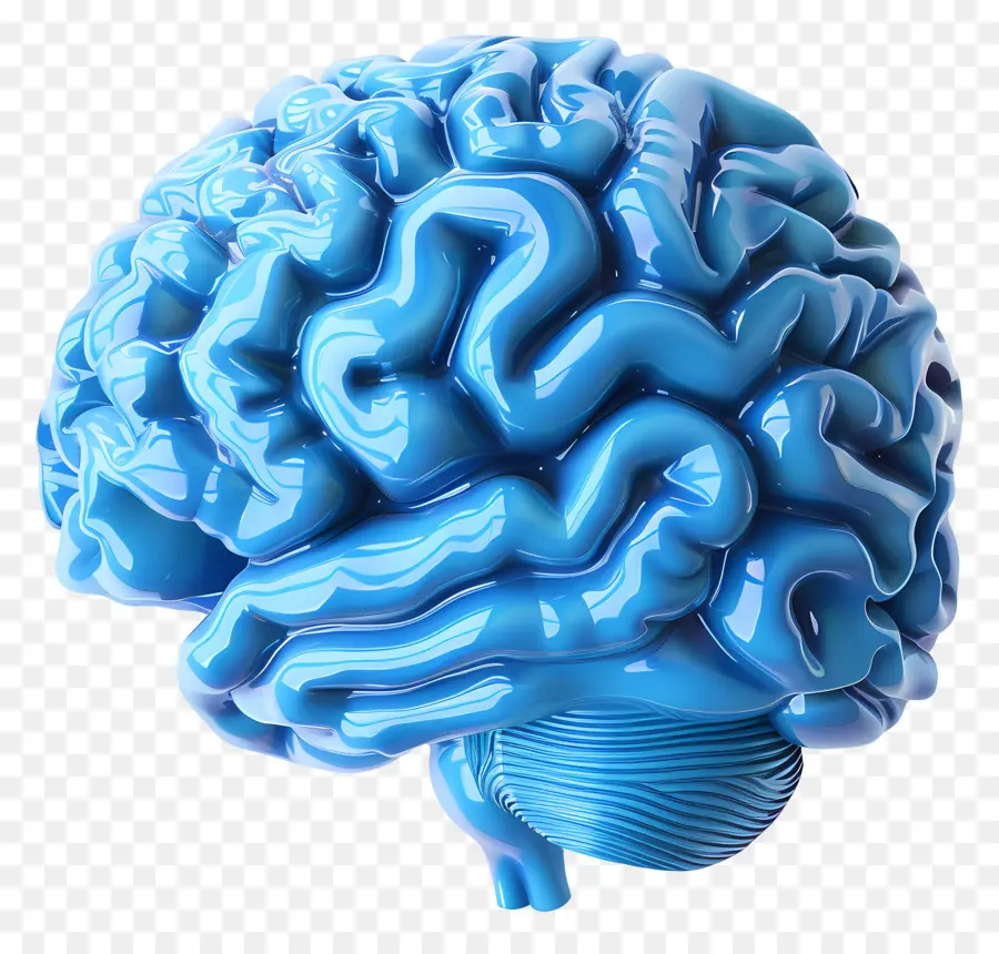 Azul Cérebro，Modelo Do Cérebro 3d PNG