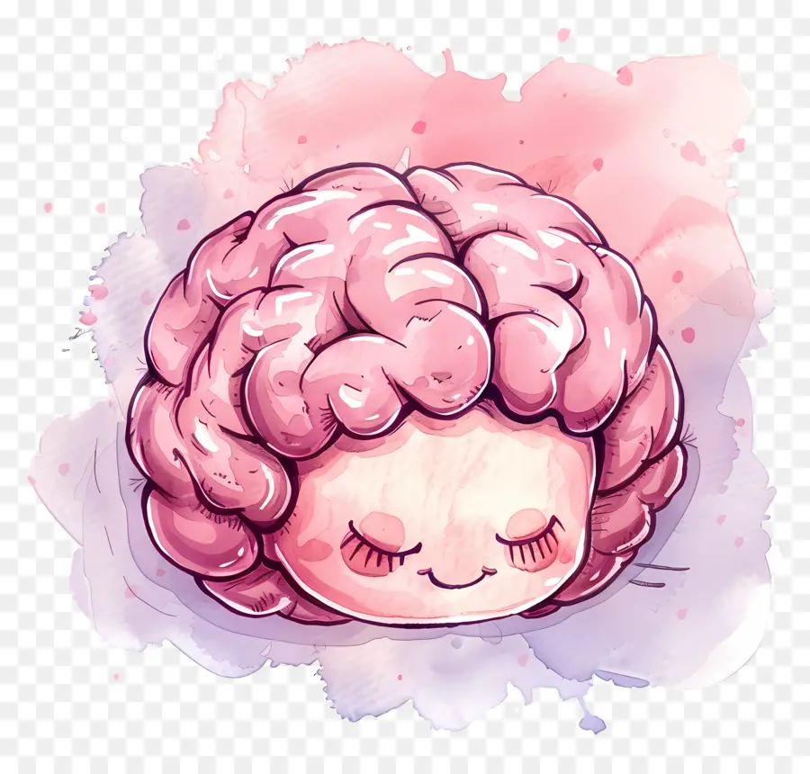 Bonito Cérebro，Cérebro PNG