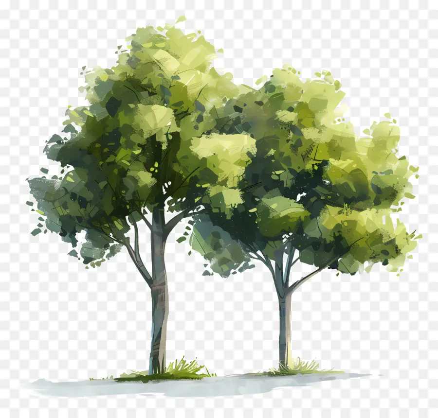 Aquarela árvores，árvores PNG