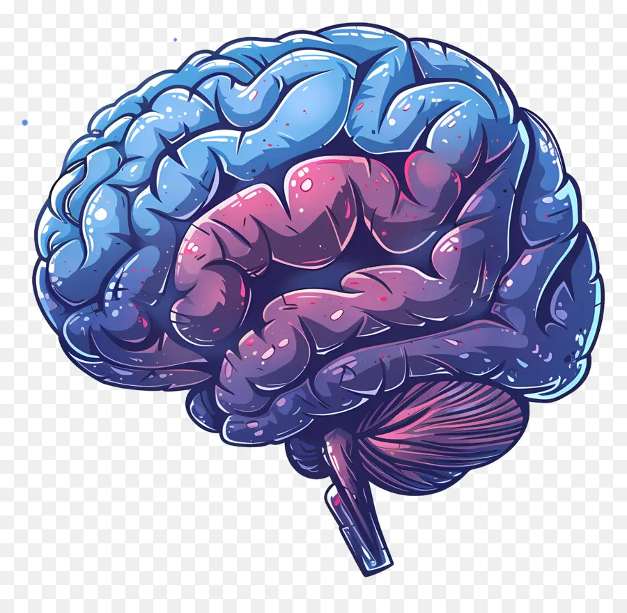 Animado Cérebro，Cérebro PNG