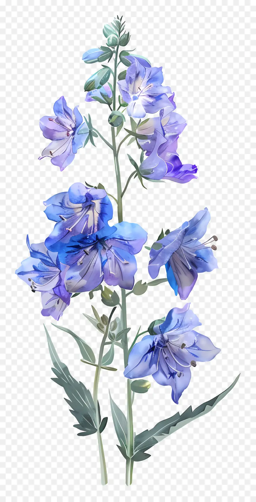 Flor De Larkspur，Flor Azul PNG