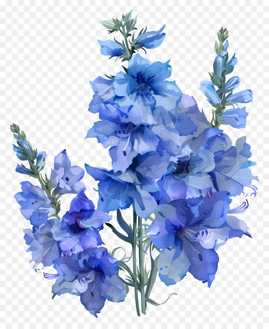 Flor De Larkspur，Azul Hortênsia PNG
