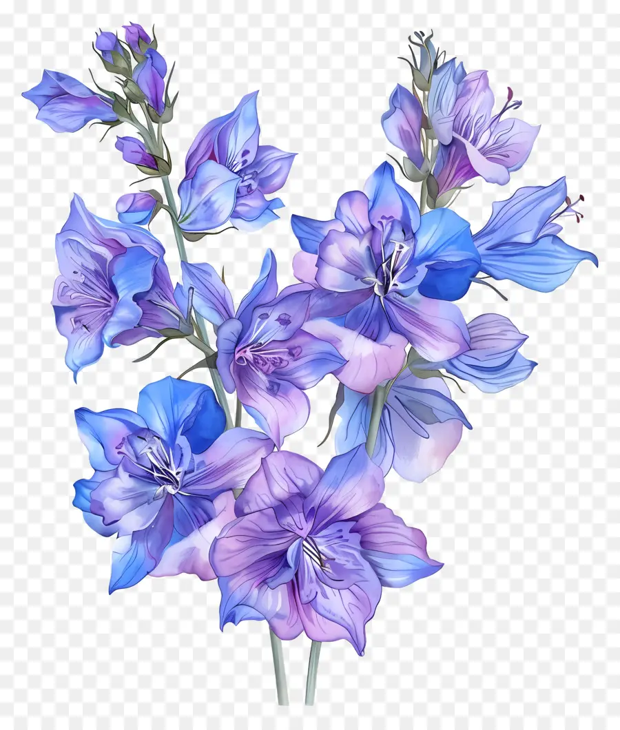 Flor De Larkspur，Flores Roxas PNG