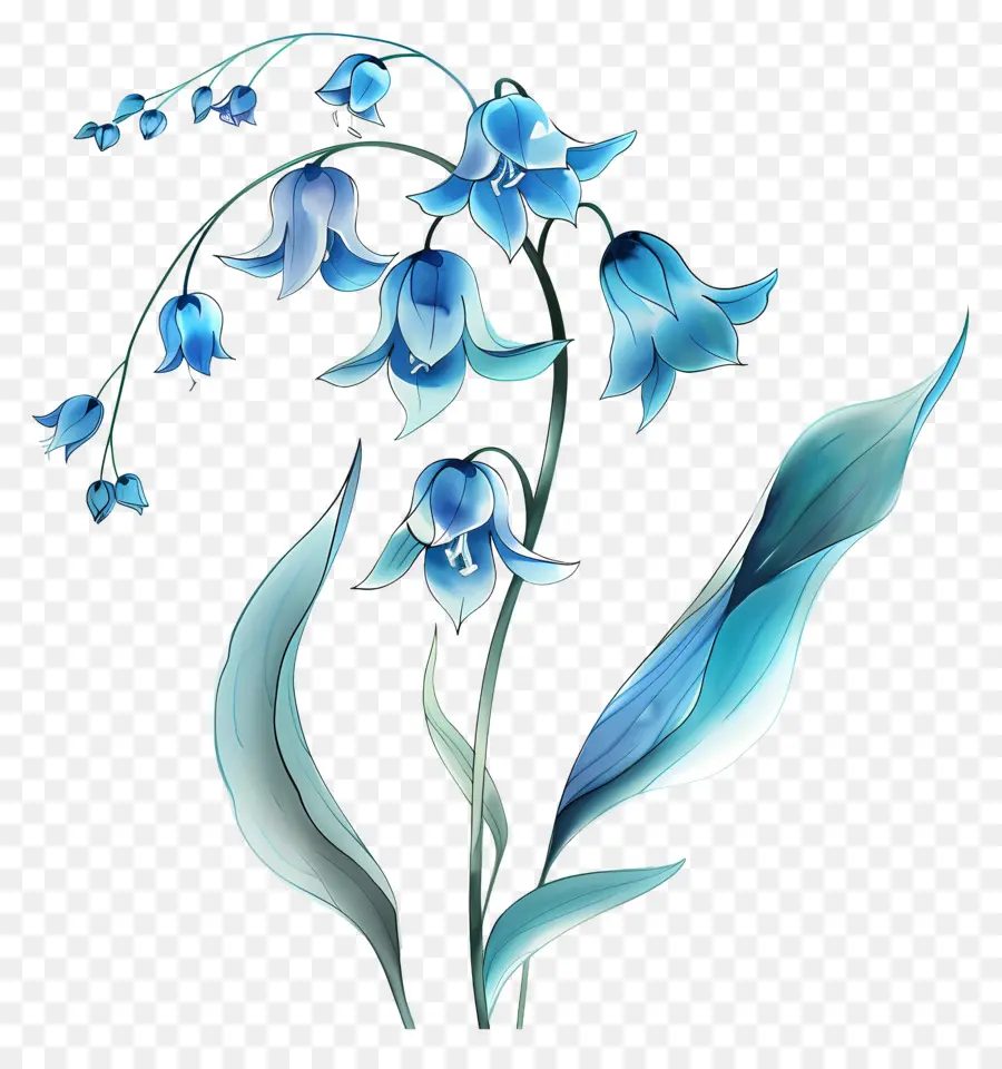 Lily Azul Do Vale，Lírios Azuis PNG
