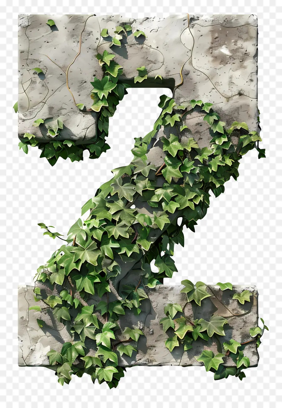 Número 2，Ivy PNG