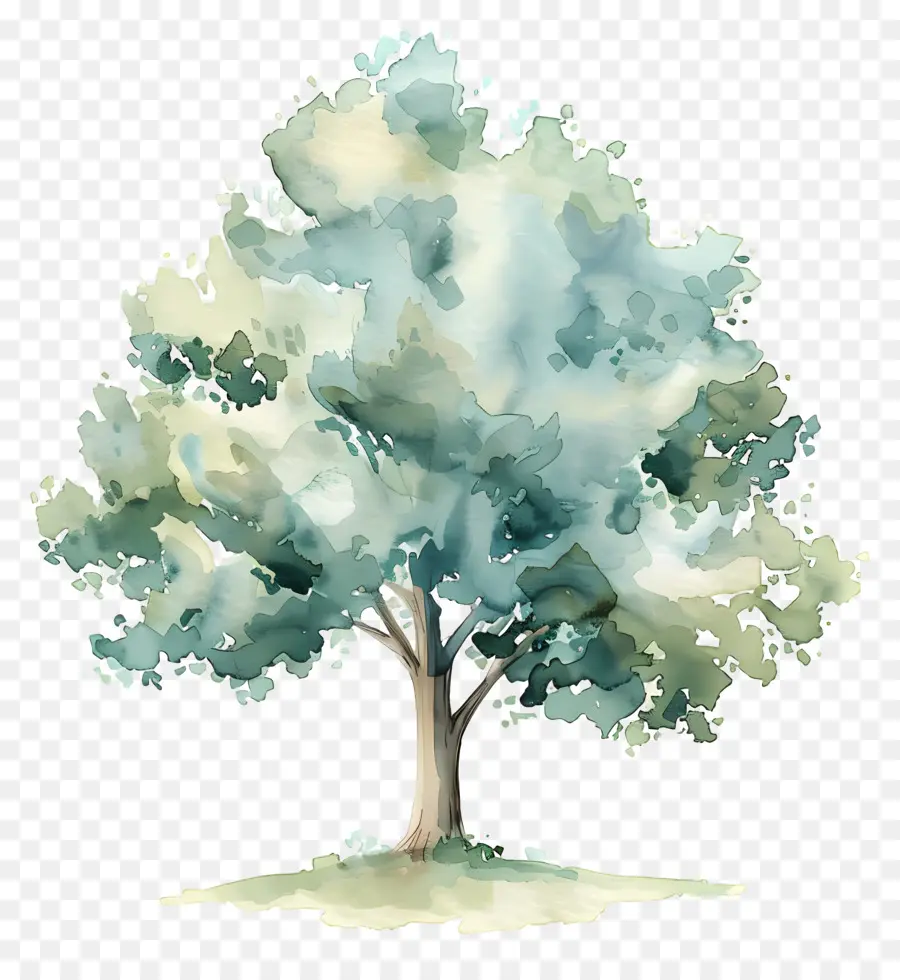 Plano De árvore Em Aquarela，Pintura Em Aquarela PNG