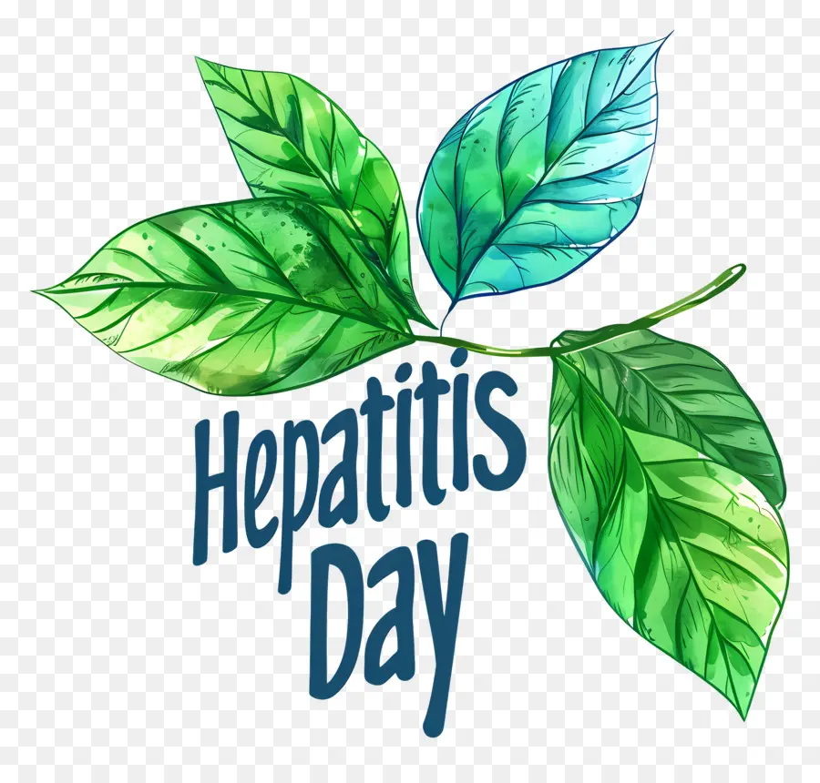 O Dia Mundial Da Hepatite，Aquarela PNG