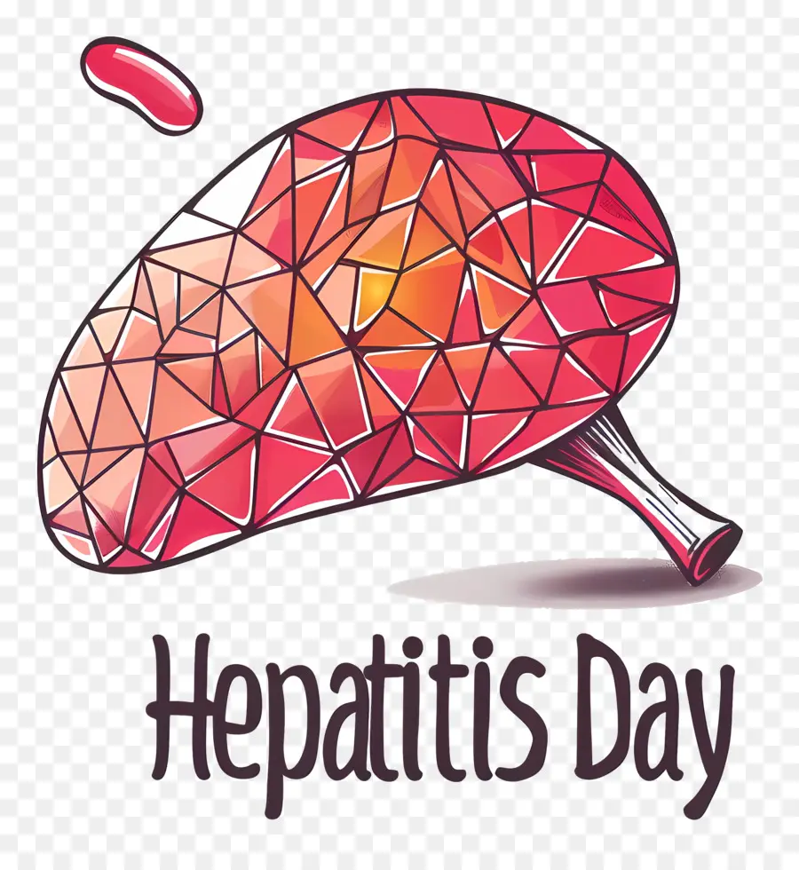 O Dia Mundial Da Hepatite，Cérebro Humano PNG