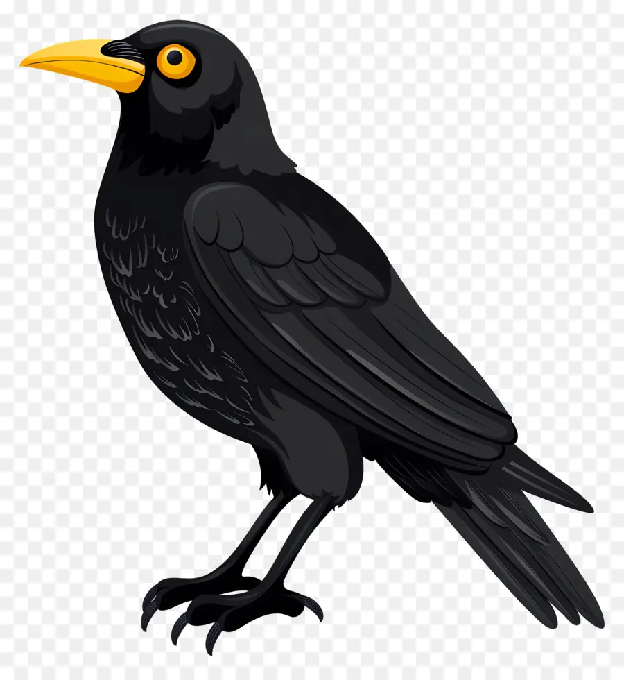 Crow，Olhos Amarelos PNG