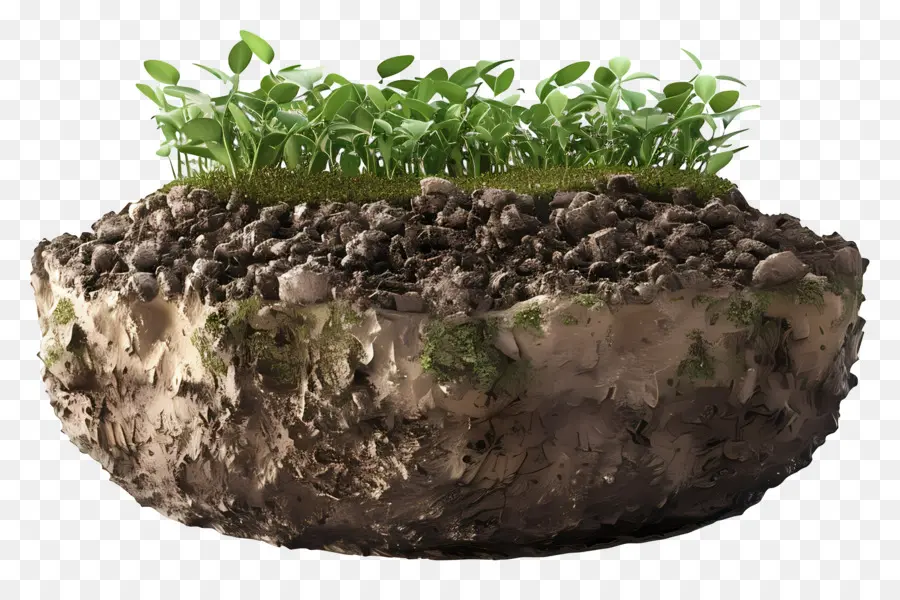 Soil，Plantas Verdes PNG