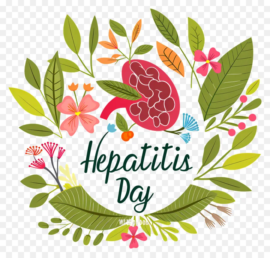 O Dia Mundial Da Hepatite，A Grinalda PNG