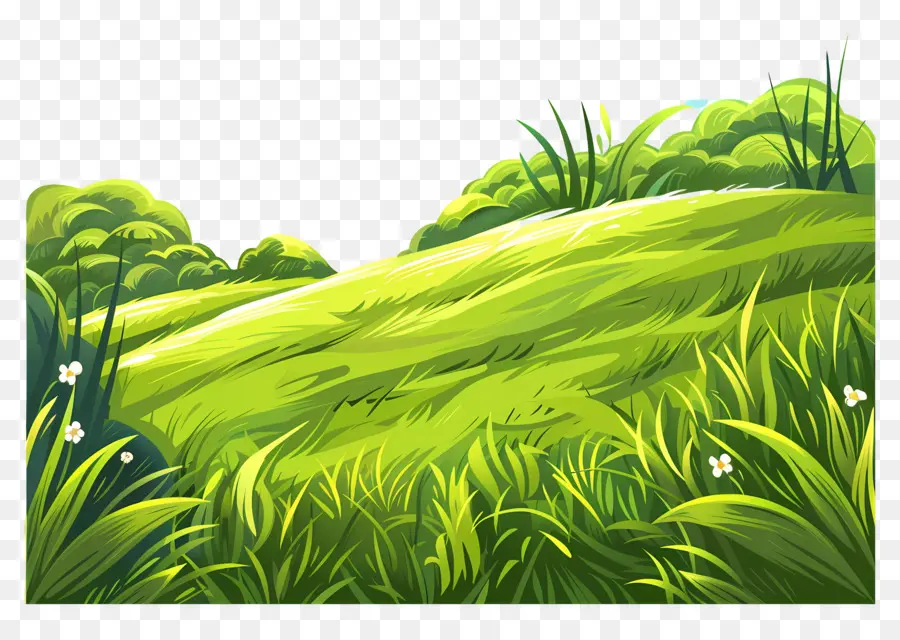 Erva Da Terra，Hill Green Grassy PNG