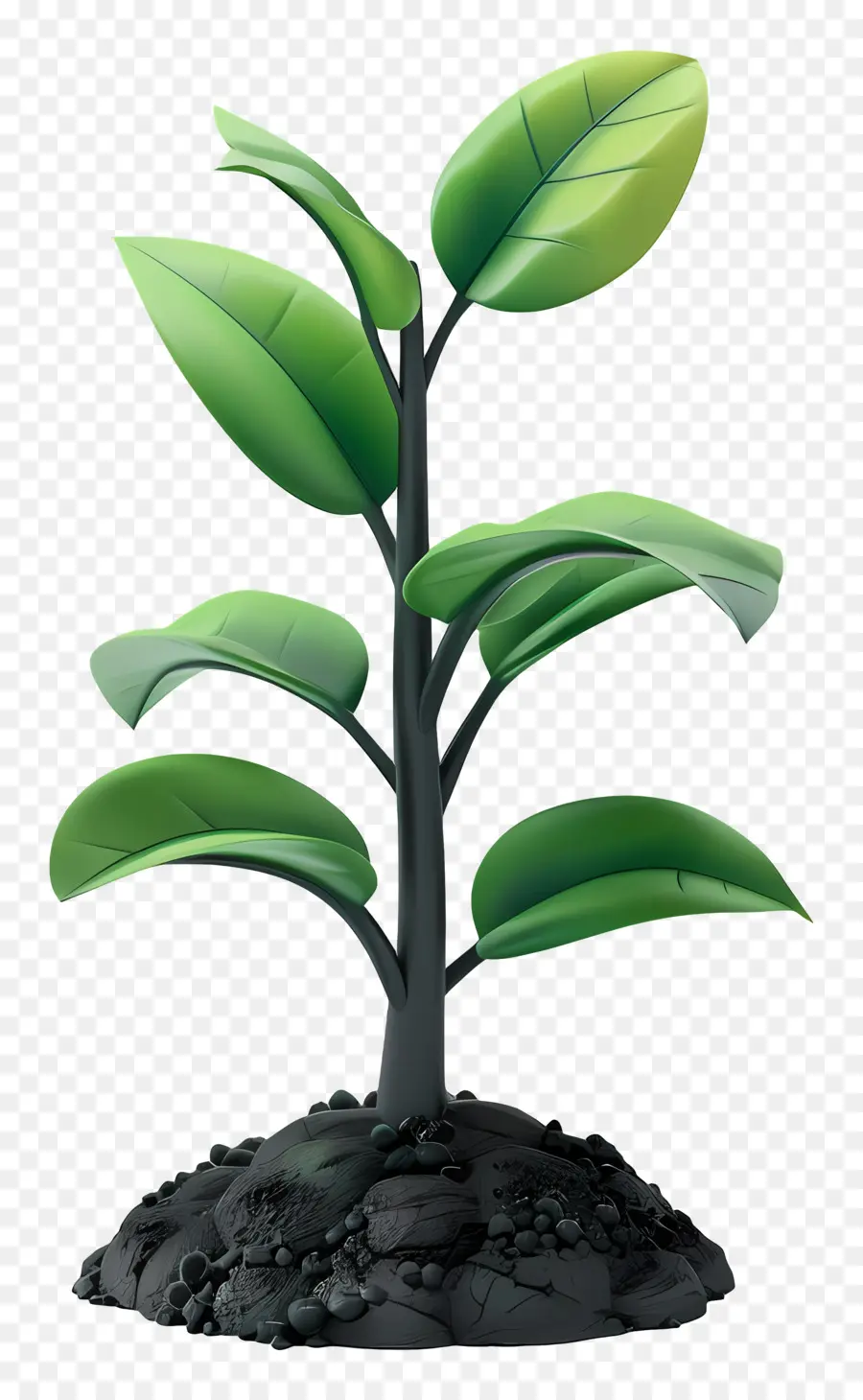 Solo Vegetal，O Crescimento Da Planta PNG