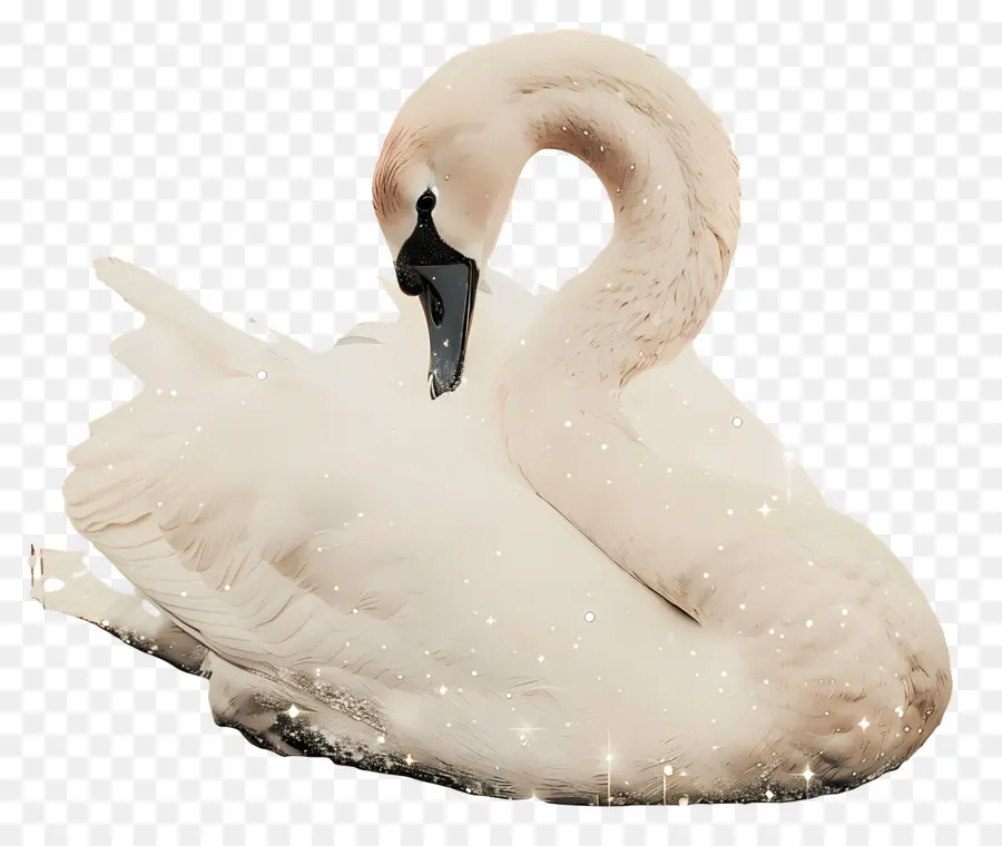 Swan，água PNG